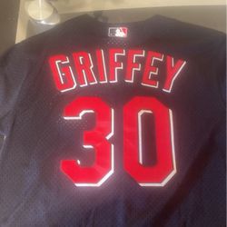 Ken Griffey, Jr., Chicago Cubs Mitchell And Ness Jersey 