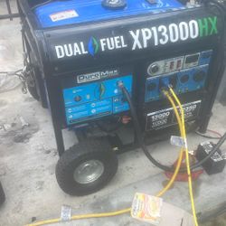 Dual Fuel Generator