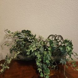 Decorative Plants With Plant Holders