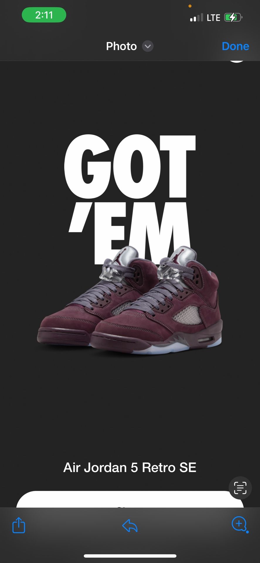 Nike Air Jordan Retro 5’s