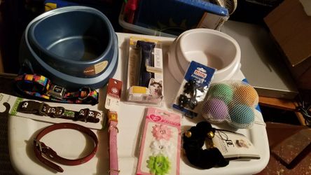 Brand new dog items