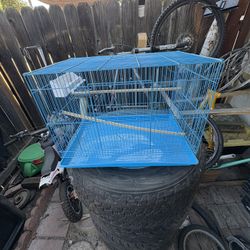 Bird Cage 