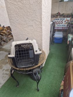 🐈 CAT CARRIER