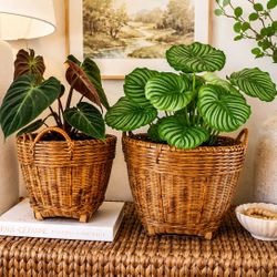 Vintage Pair 2 Sturdy Bamboo Natural Baskets Display Storage Mid Century Small Planters Collectible 