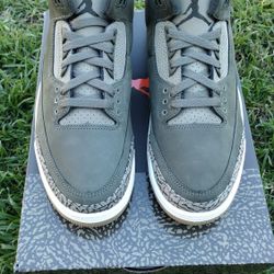 Brand New Air Jordan 3 Dark Green "Family Affair " Size 11 Mens