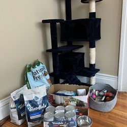 Cat Supplies - Food, Toys, Trees And More! 