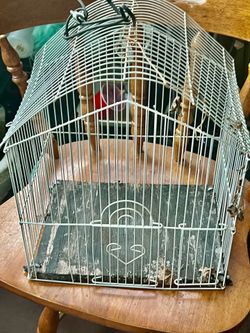 Bird cage small