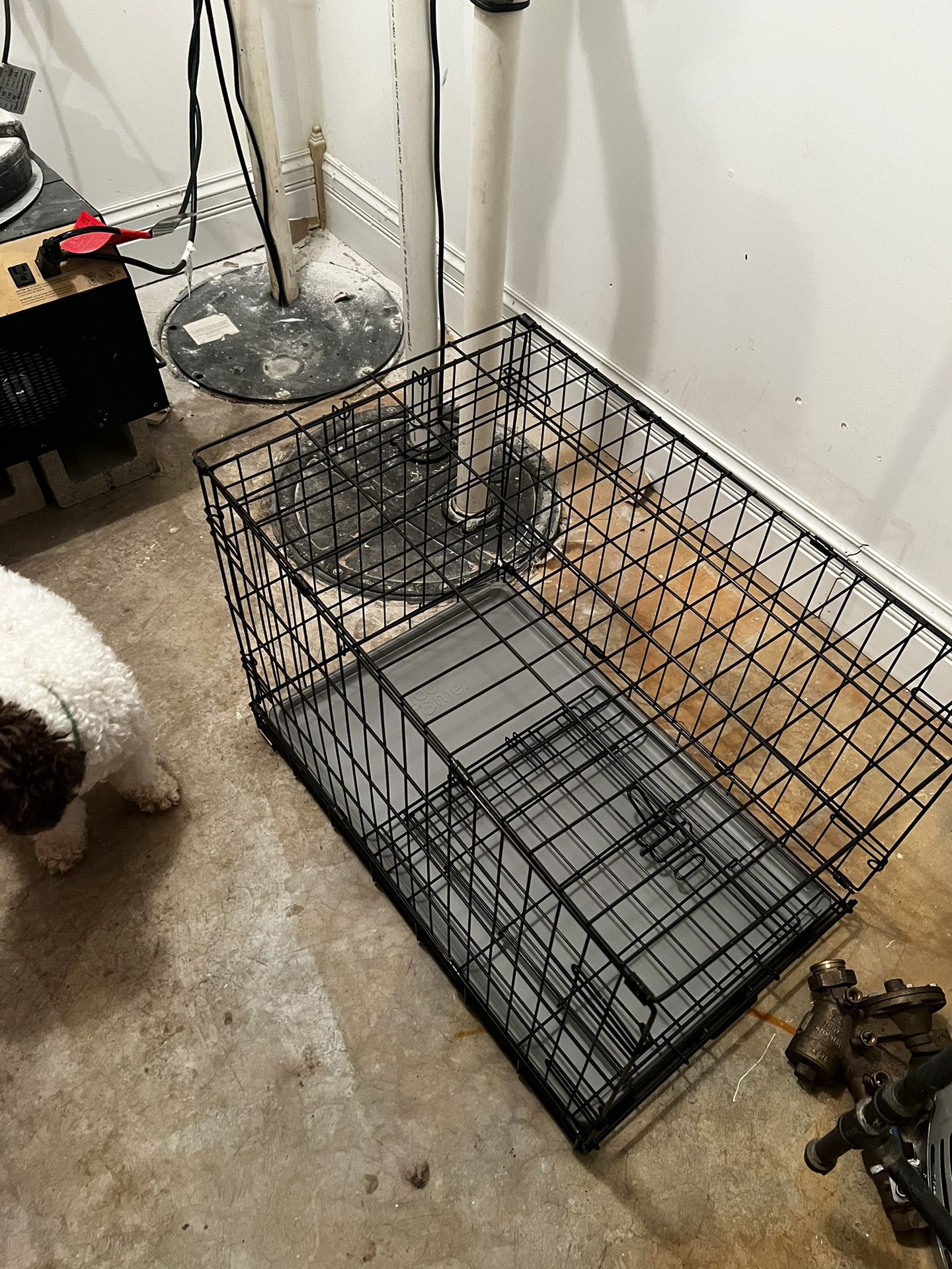 Dogs Crate