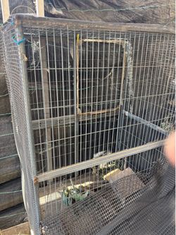 Bird cage
