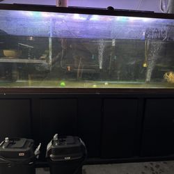125 Gallon Fish Tank