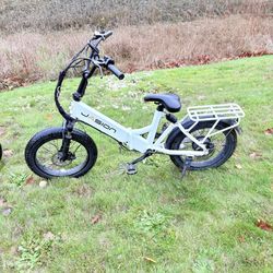 Electric Bike 