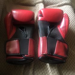 Everlast Boxing Gloves 12oz