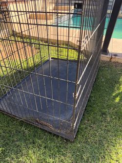 Large cage for pet