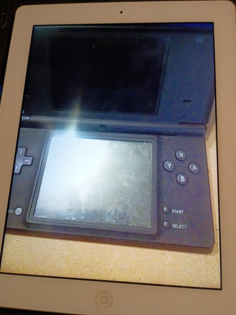 NINTENDO DS.
