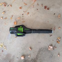 Greenworks Pro Leaf Blower
