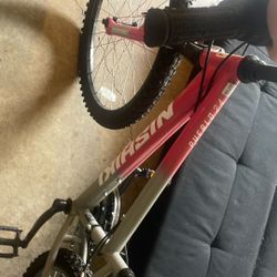 Nishiki Pueblo 24” mountain bike 