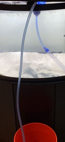 40 Gallon Bow front Tank With Stand