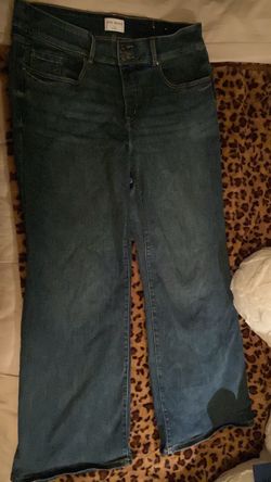Lane Bryant Tummy Control and wide leg Size 20