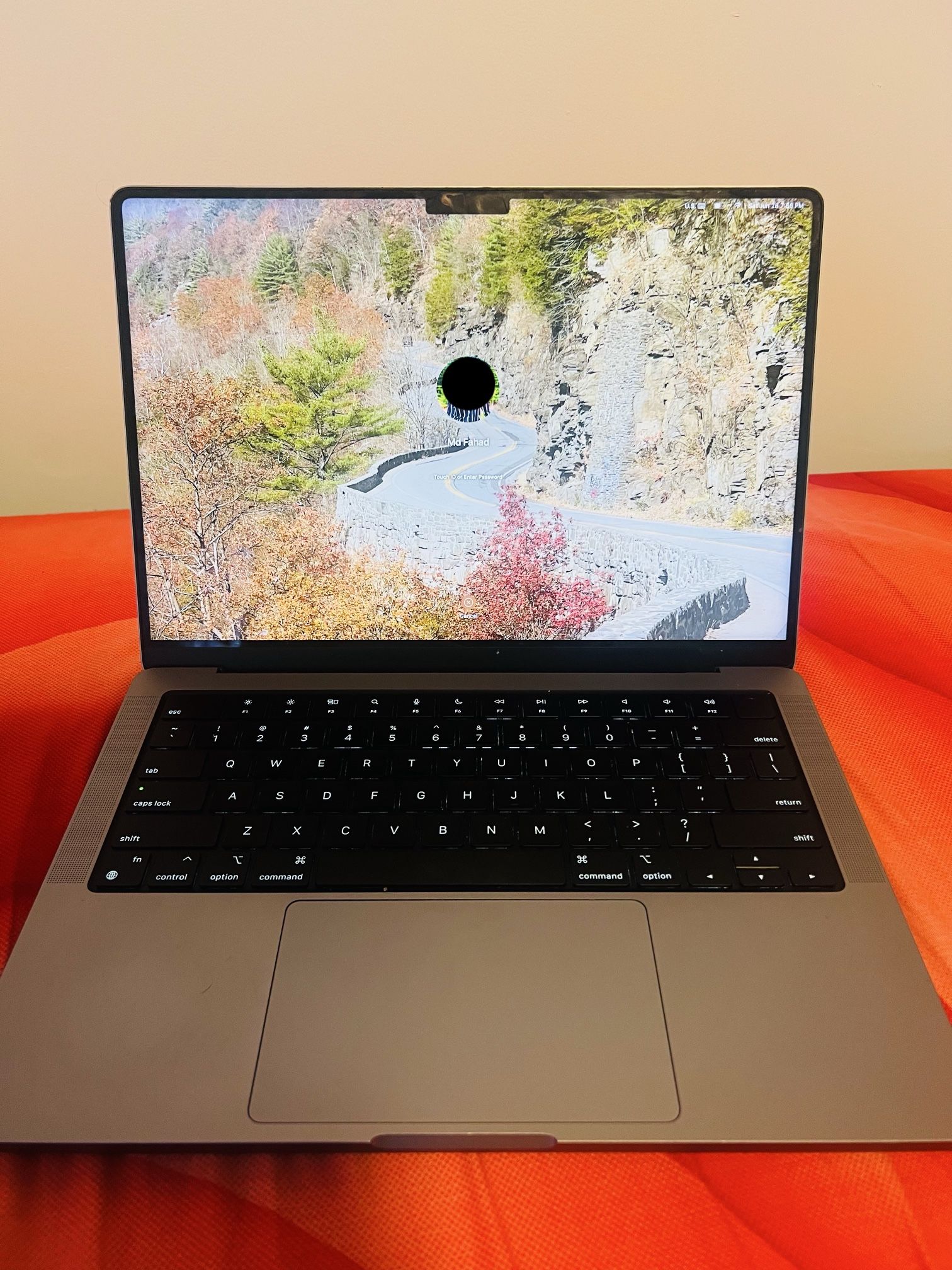 14-inch MacBook Pro - Space Gray, Magic Mouse - White Multi-Touch Surface
