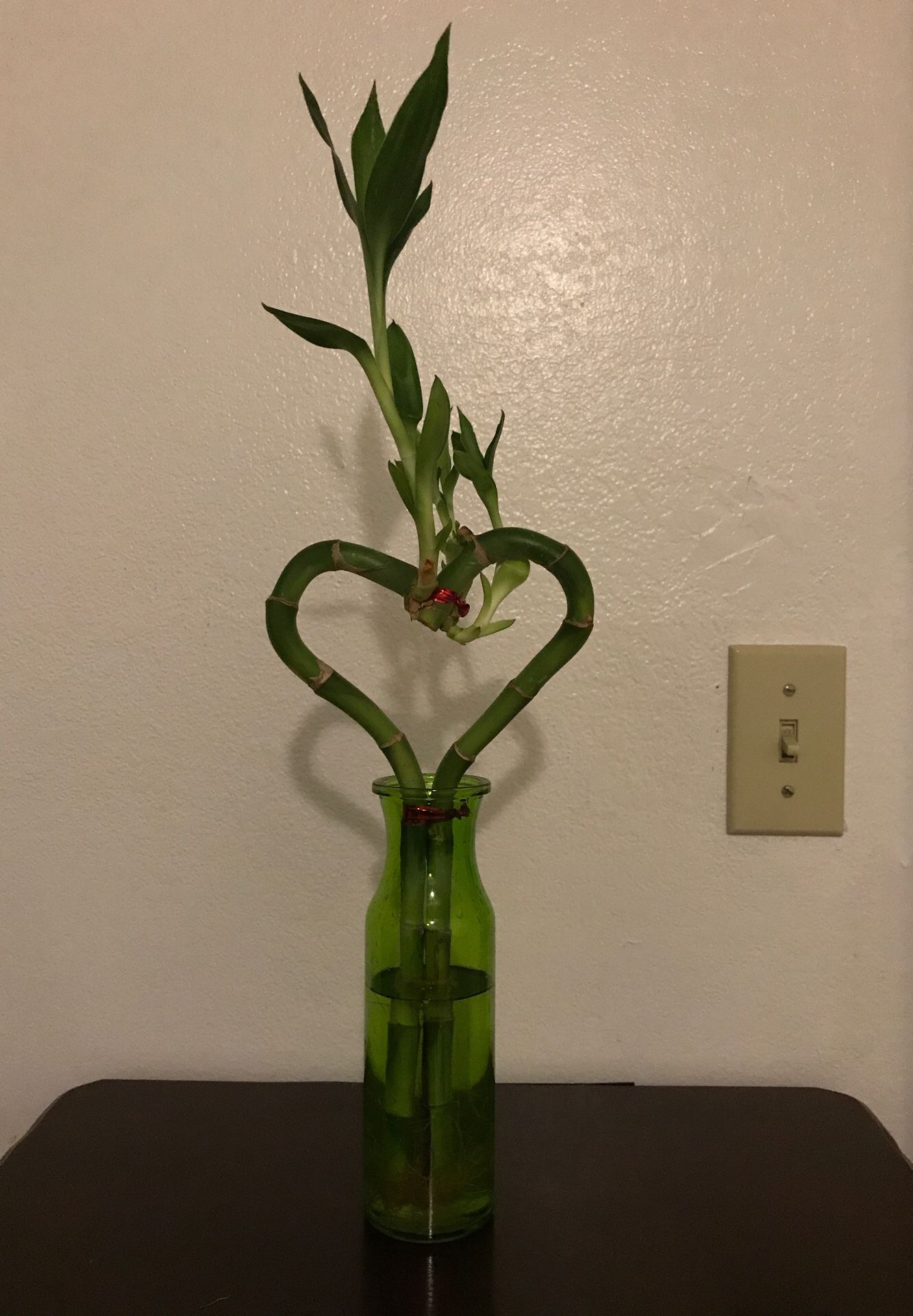 Heart shape bamboo Chinese plant with green vase