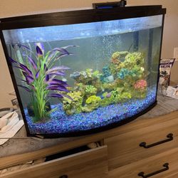 37 Gallon Fish Tank 