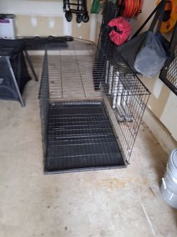 Large dog kennel