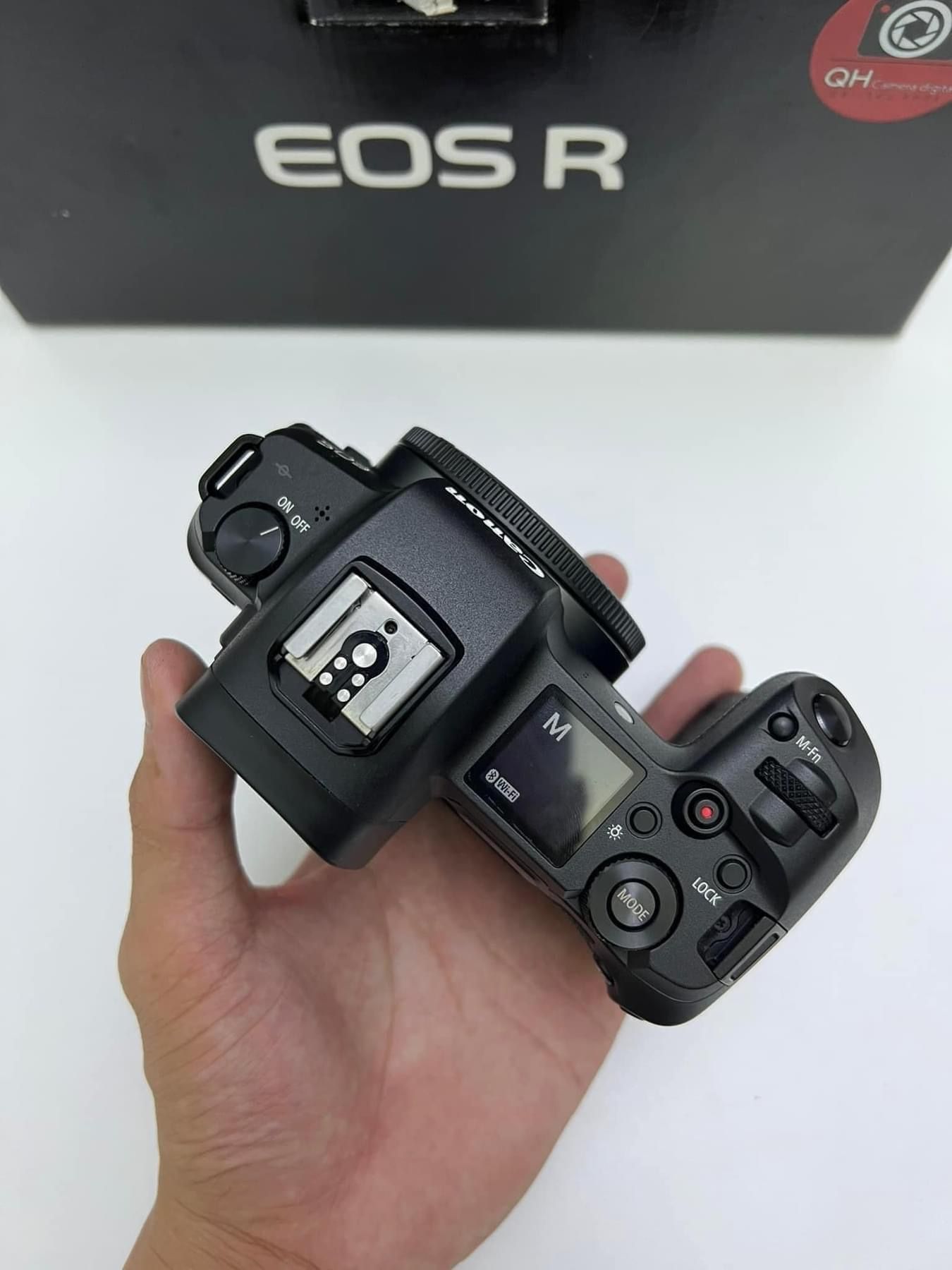 Canon R And Rf 50mm Stm Great