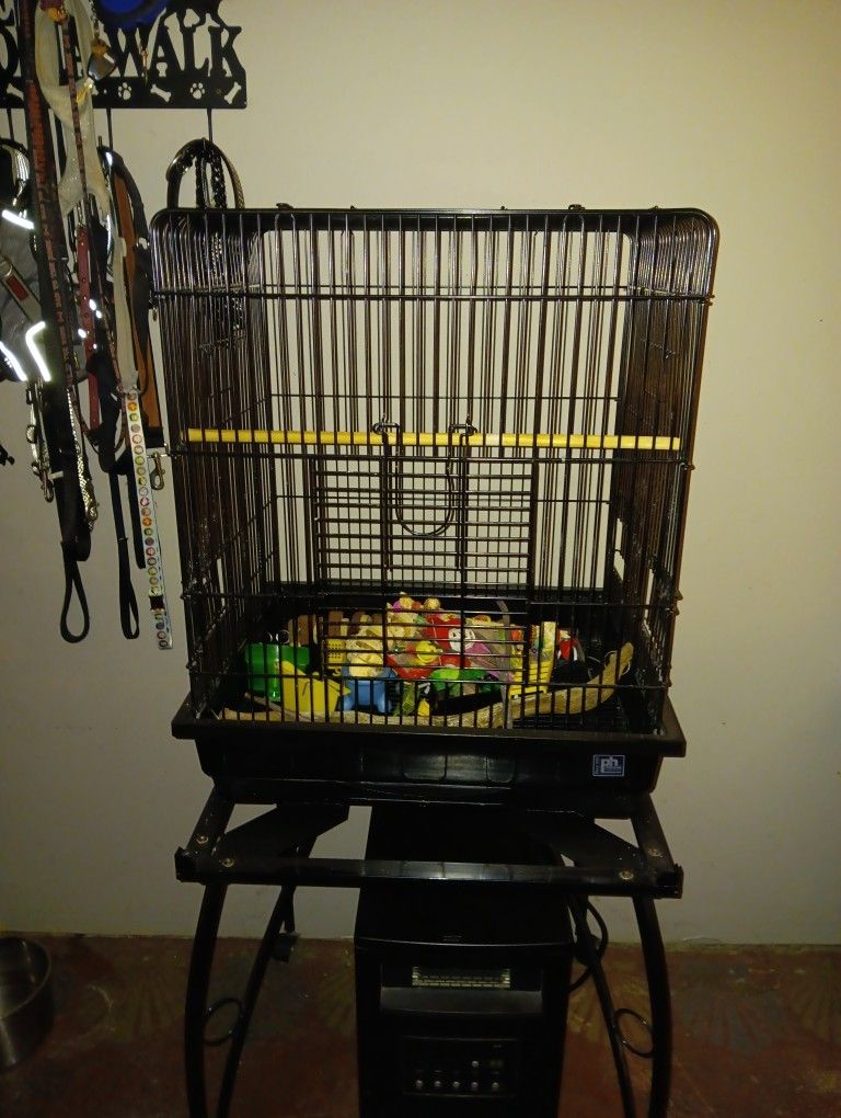 Bird Cage