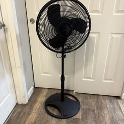 16 in. 3 Speed Oscillating Pedestal Fan for Home in Black with Adjustable Height, Tilt Back Head 
