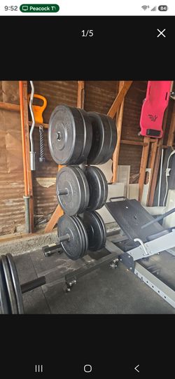 Bumper Plates 10s