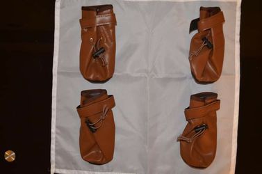 Zapatos para Perro