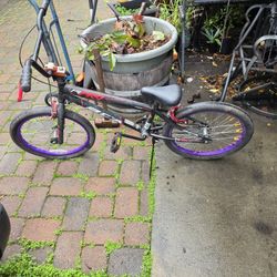 20in Freestyle. Bike