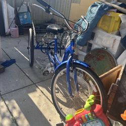 Adult Tricycle
