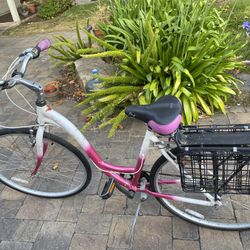 Girls Bike 19 Inch 