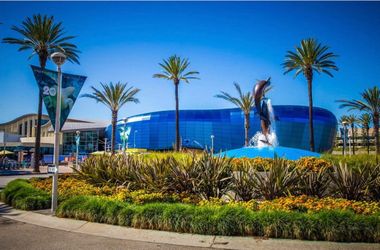 Aquarium Of The Pacific