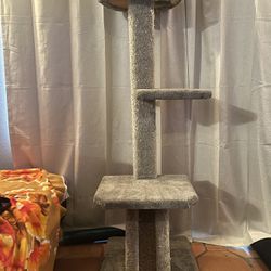 5 Feet Tall - All Carpet Cat Tree