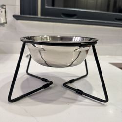Dog Bowl
