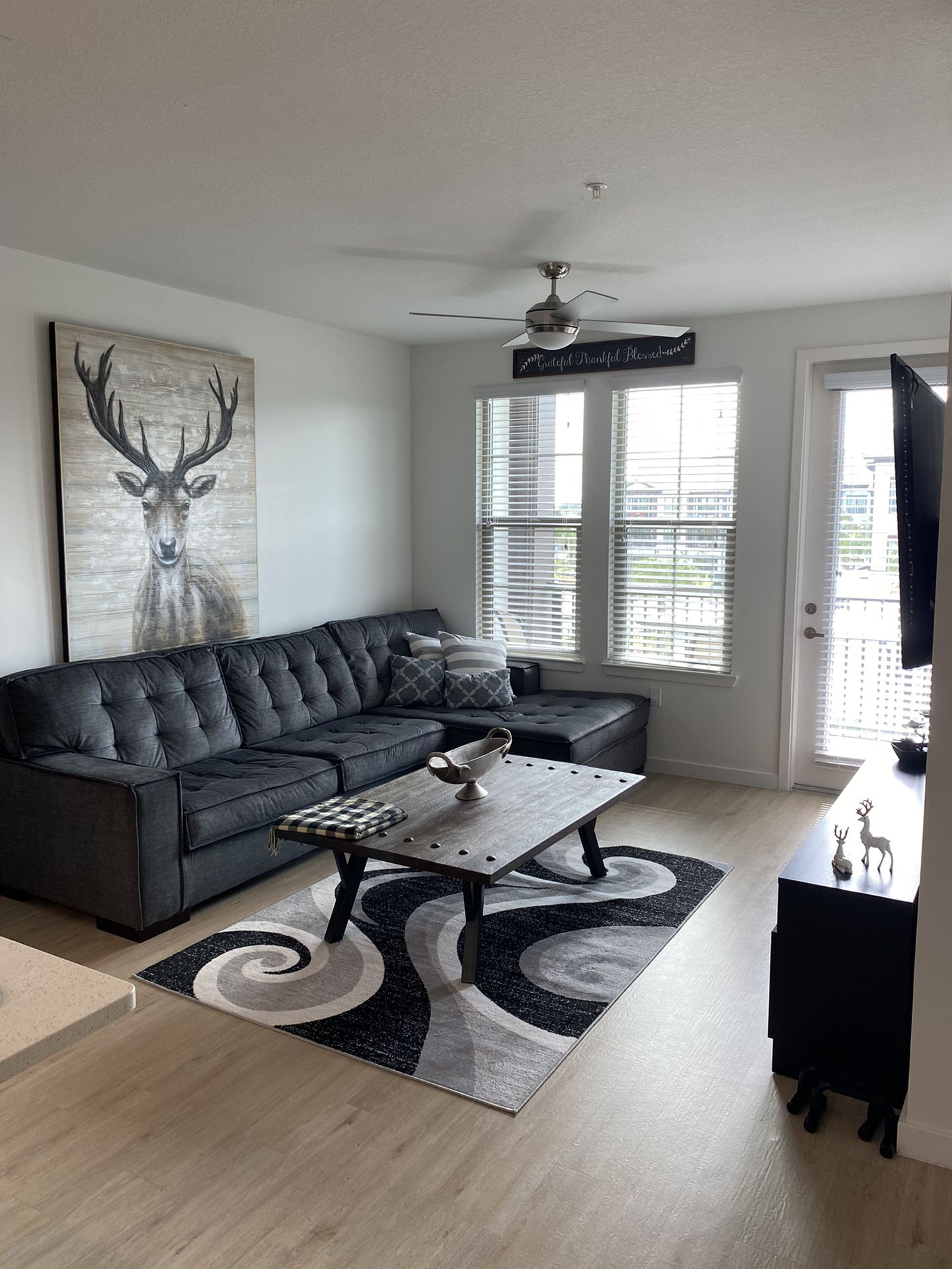 2 Piece Luxury Sectional Couch