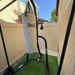 Everlast Heavy Bag/speedbag Combo