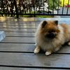 Erin Lopez