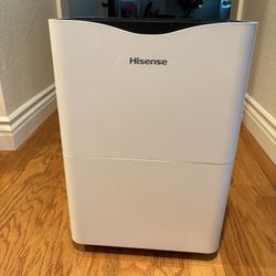 Hisense Dehumidifier 