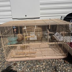 bird cage