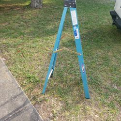 Warner 6' 250 Lbs Ladder