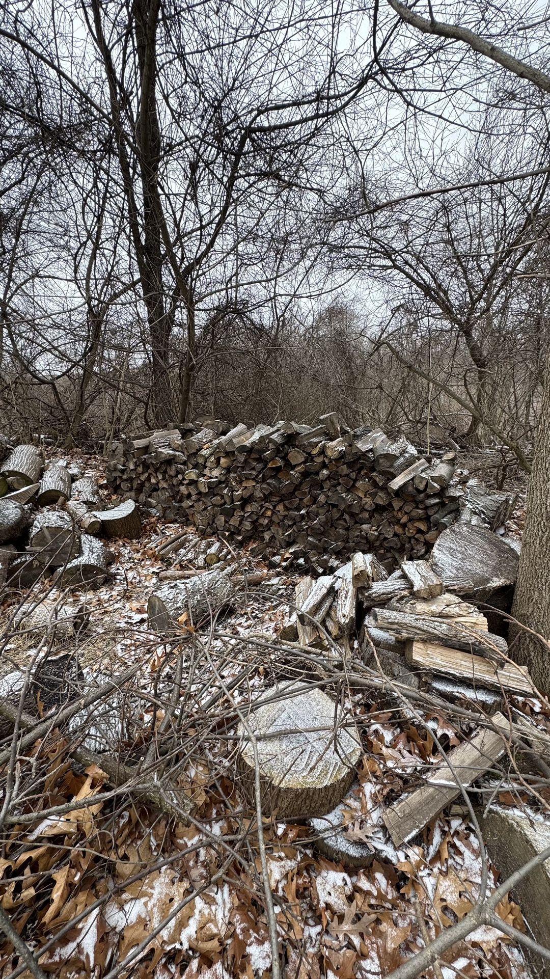 Firewood