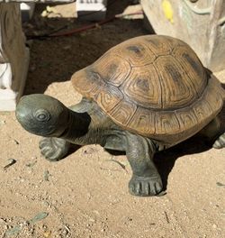 Concrete Turtle Garden Statue