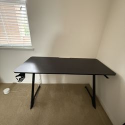 Gaming Desk for Sale - $100