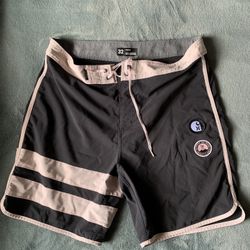 Hurley x deals carhartt shorts