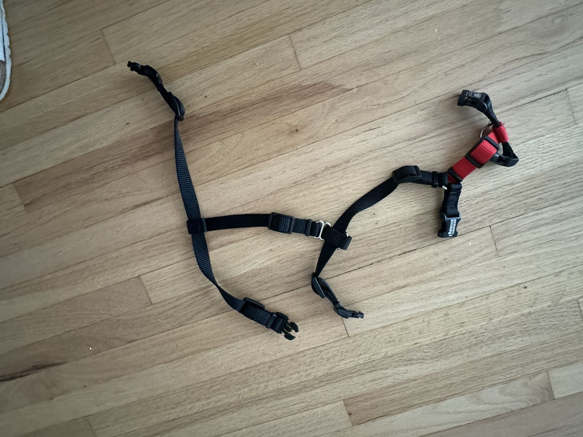 Blue 9 balance harness new