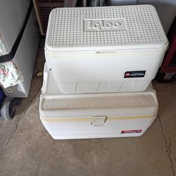 $60 each (2) Igloo coolers