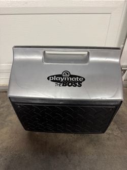 Lunch box cooler